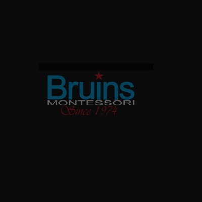 Bruins Montessori USA Inc