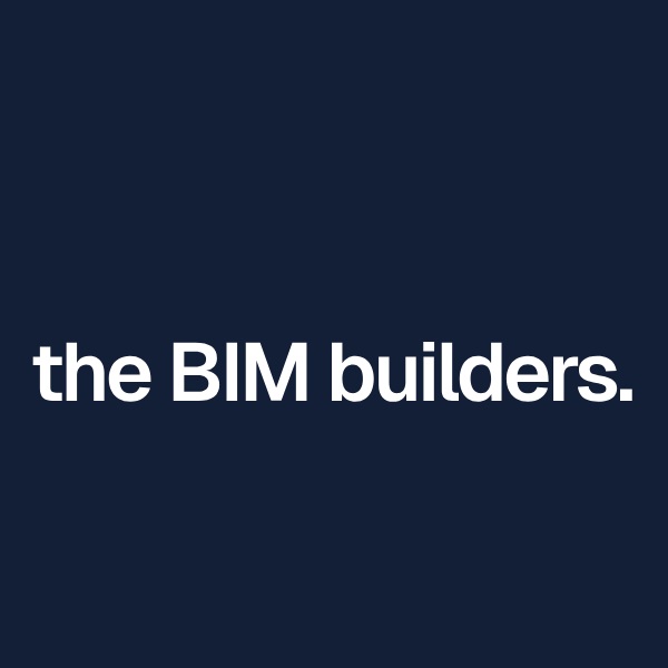 THE BIM BUILDERS